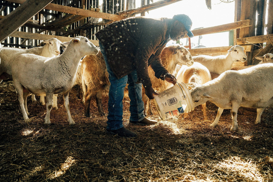 On Site with Ballew Farms: Cultivating Deep Roots