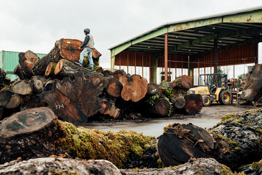 On Site with Goby Walnut: Upcycling Dying Trees into Heirloom Lumber