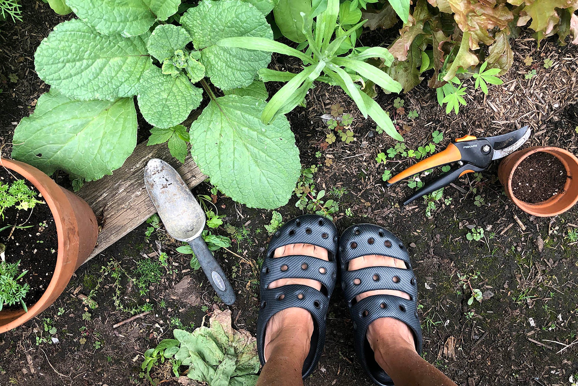 A person wearing a pair of black KEEN sandals in a garden, next to potted plants and a spade.