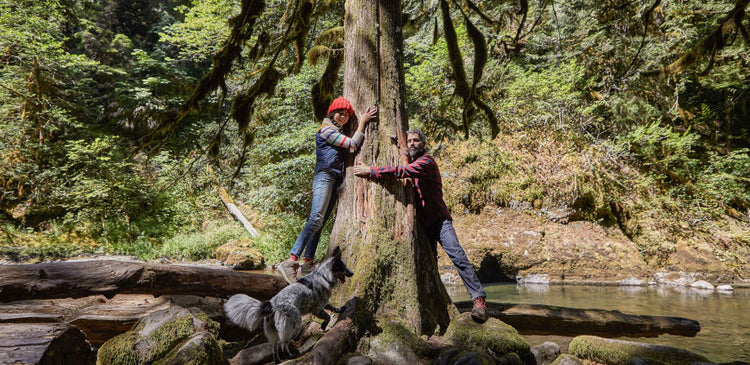 Hugging trees in Oregon
