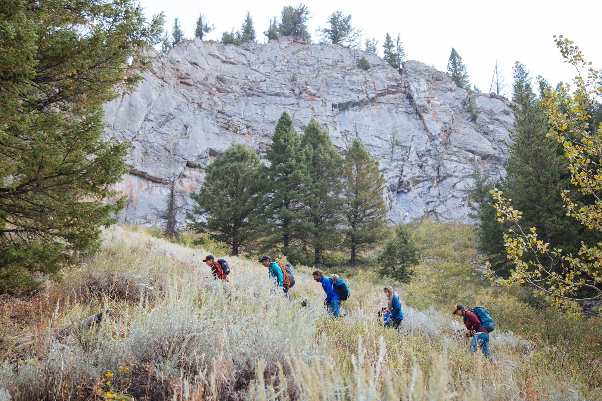a group of teenagers on a hike