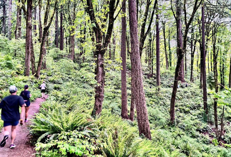 Trail Run Log: Forest Park, Portland