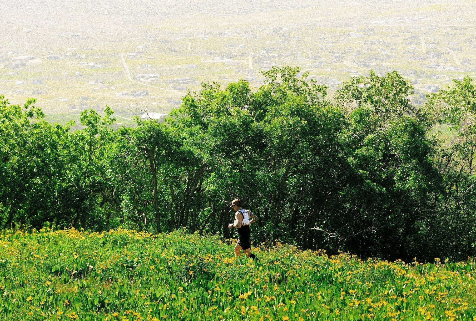 a person trail running in the Twisted Fork ultra-trail race