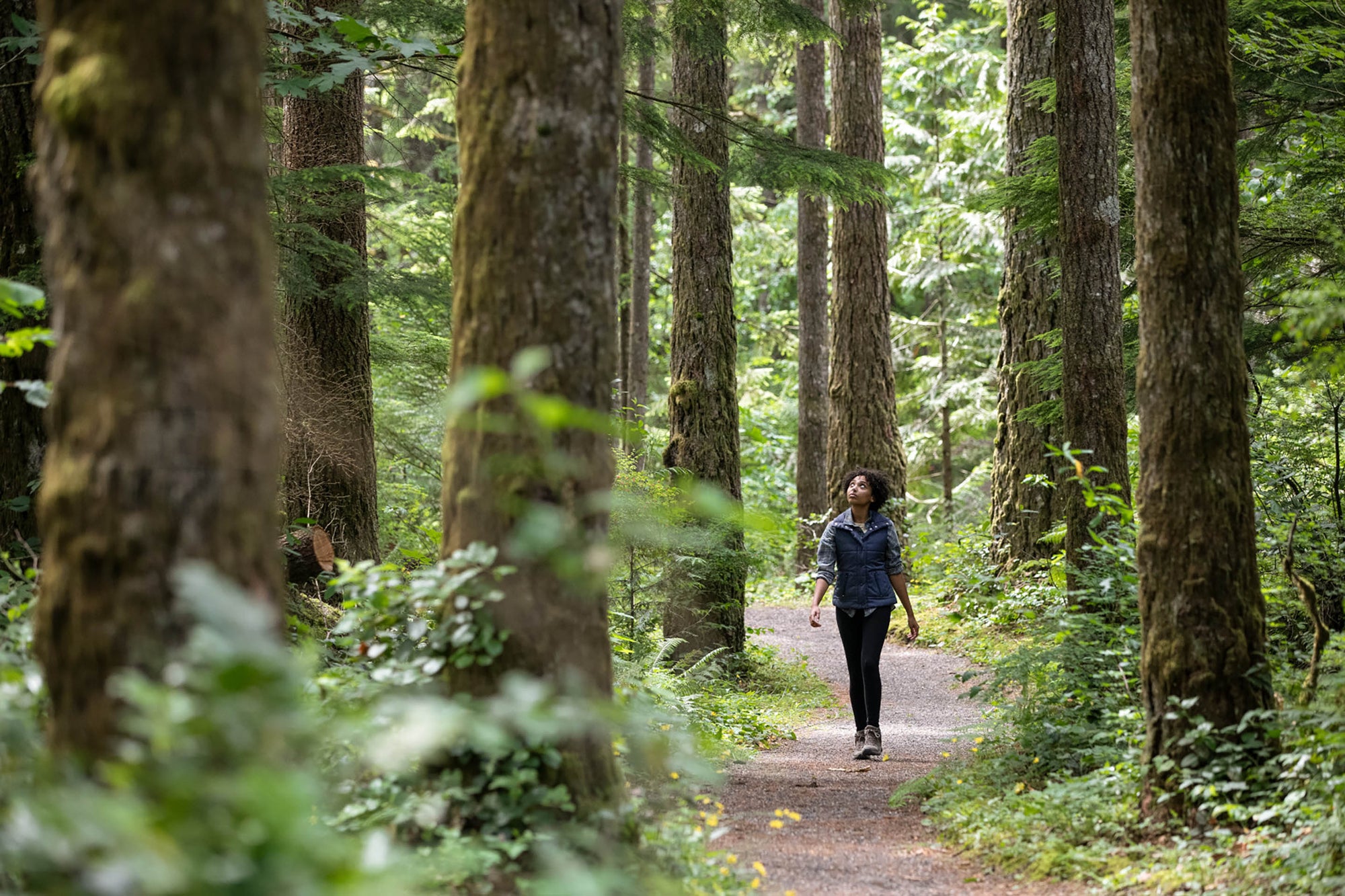 It's a Great Time to Try Walking Meditation