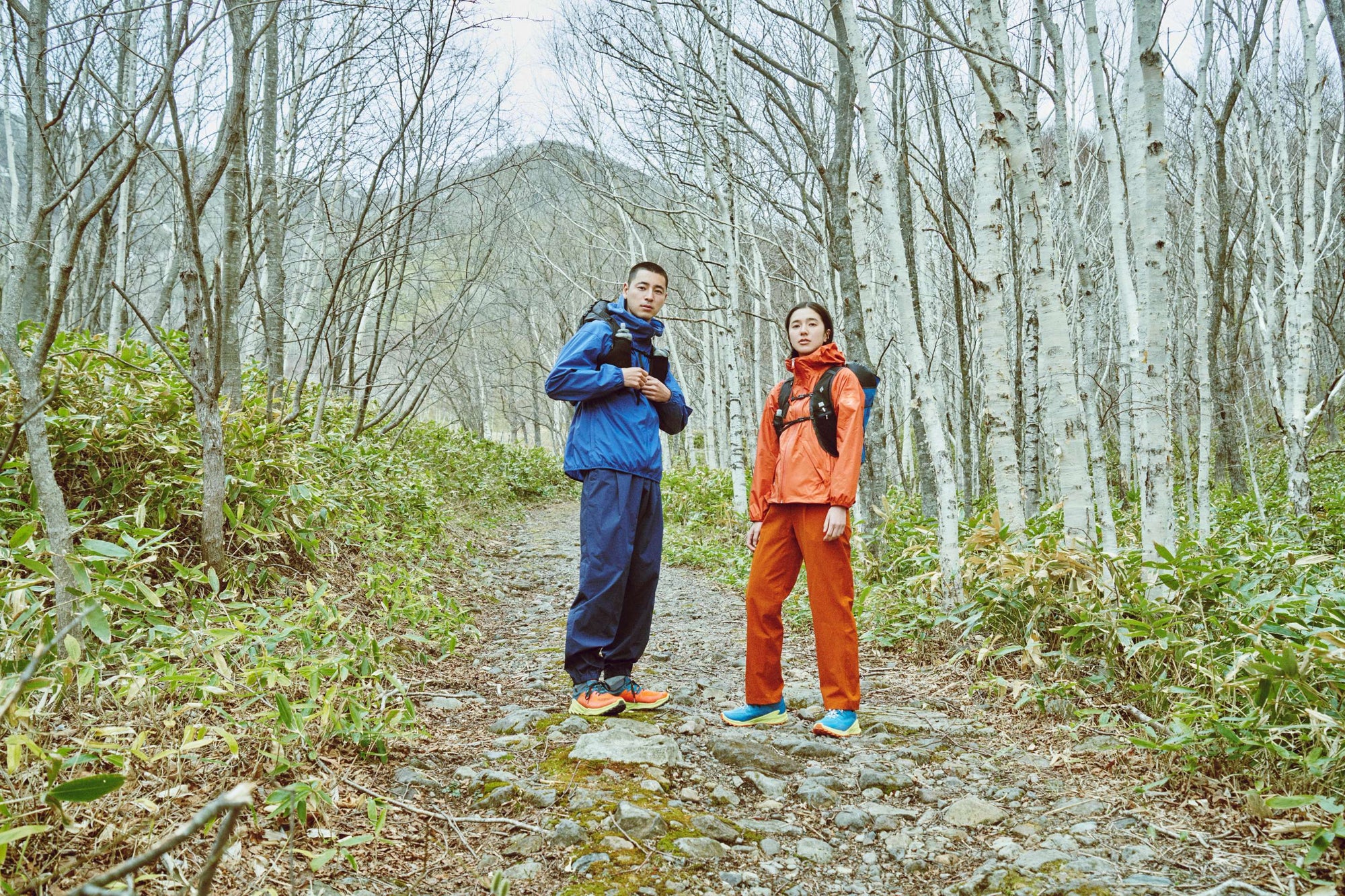 two hikers standing in a wooded trail
