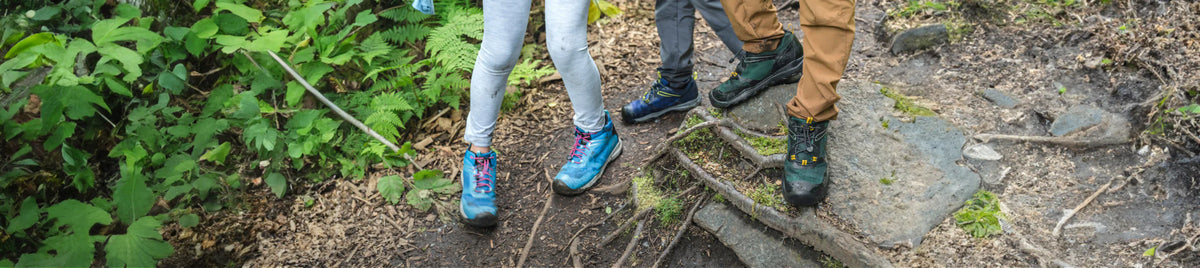Kids' Light Hike