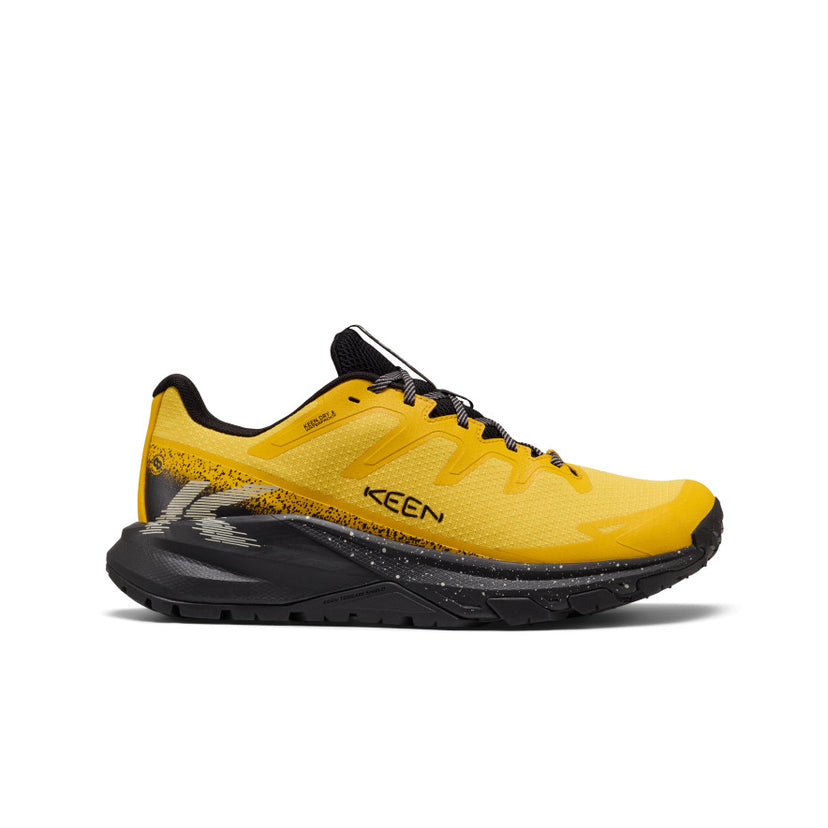Targhee Apex Waterproof Hiking Shoe Pour Homme  |  Coucher De Soleil Symphonique/Noir