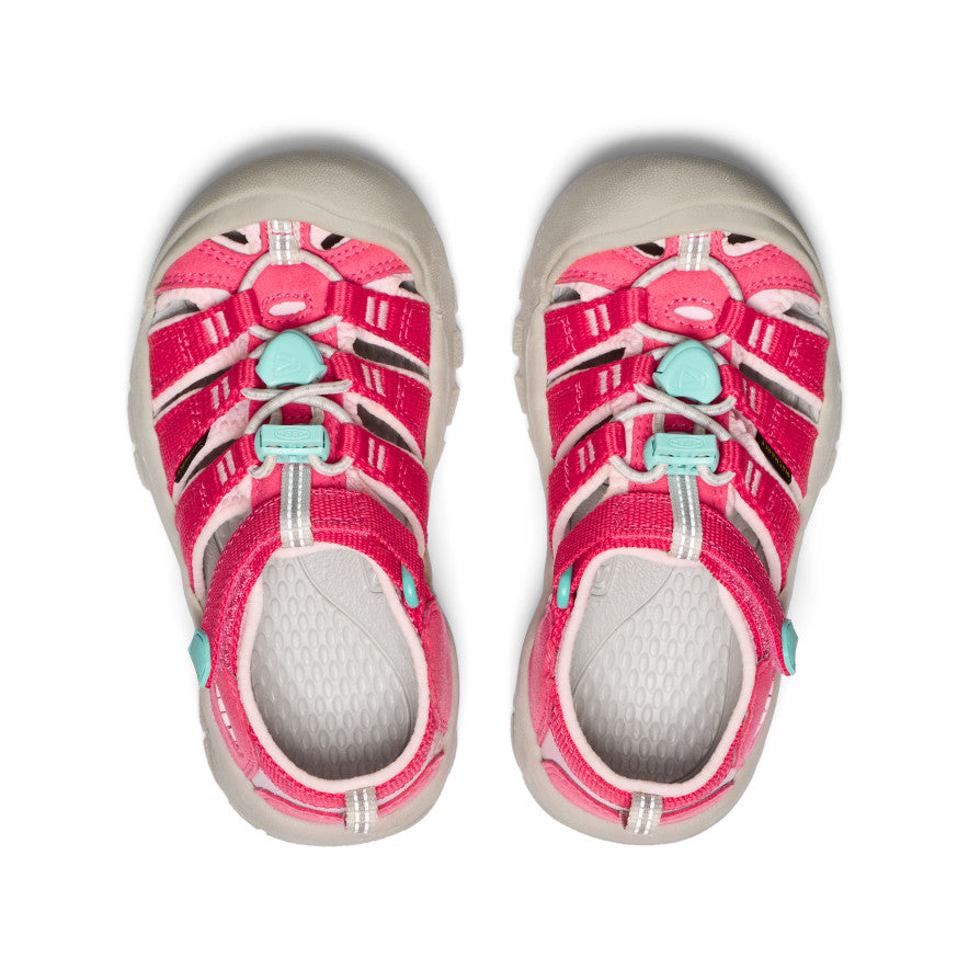 Little Kids' Newport H2 | Raspberry/Giggle Pink | KEEN Footwear Canada