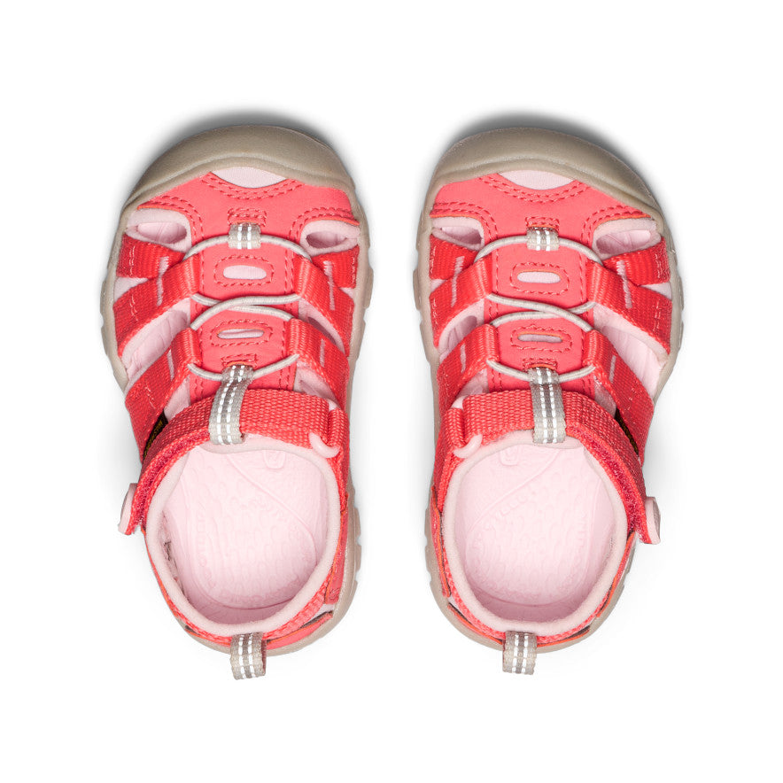 Toddlers' Seacamp II CNX | Dubarry/Giggle Pink | KEEN Footwear Canada