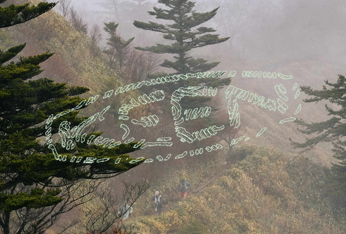 KEEN Logo over image of misty mountain trail