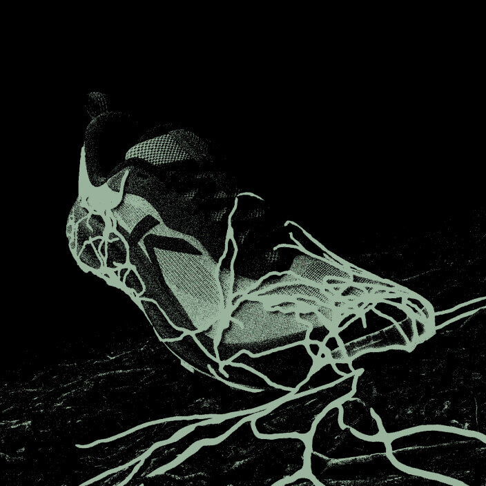 Green-scaled photo of shoe with green roots growing up the toe where it touches the ground