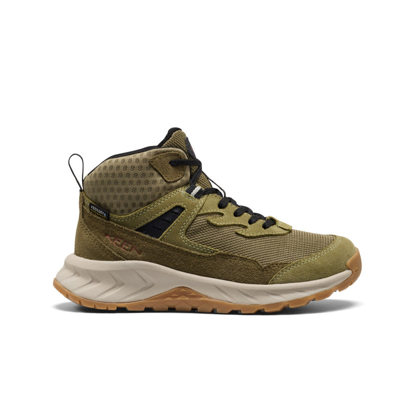 Big Kids' Hightrail Waterproof Hiking Boot  |  Dark Olive/Martini Olive