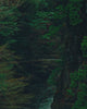 Three people running across moss covered bridge over white water in the forest while a trail outline is drawn in white in the corner